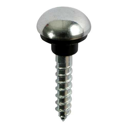 Mirror Screws and Covers