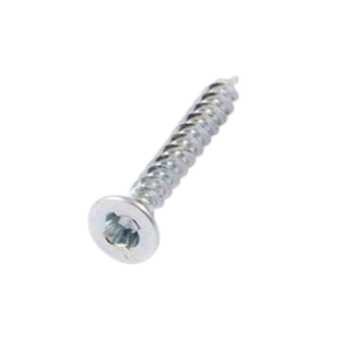 10x2 1/2 Sentinel Security Screw 10x2 1/2 Sentinel Security Screw