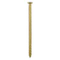 Masonry Frame Screws