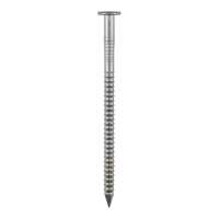 Stainless Steel Nails