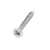 10x2 1/2 Sentinel Security Screw
