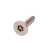 8gx1 S/S CSK torx + Pin Security STS