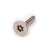 8gx2 S/S CSK torx + Pin Security STS
