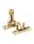 Narrow Locking Brighton Fastener Polished Brass